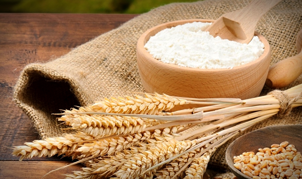 Farina e spighe di grano antico (immagine di repertorio)