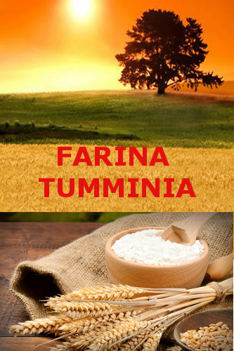 Farina Tumminia